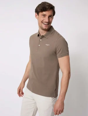 Discount Cavallaro Napoli Basic Polo Bruin