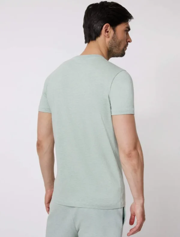 Sale Cavallaro Napoli Lauro T-Shirt Groen Melange